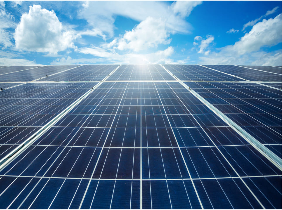 Sustainable Practices: