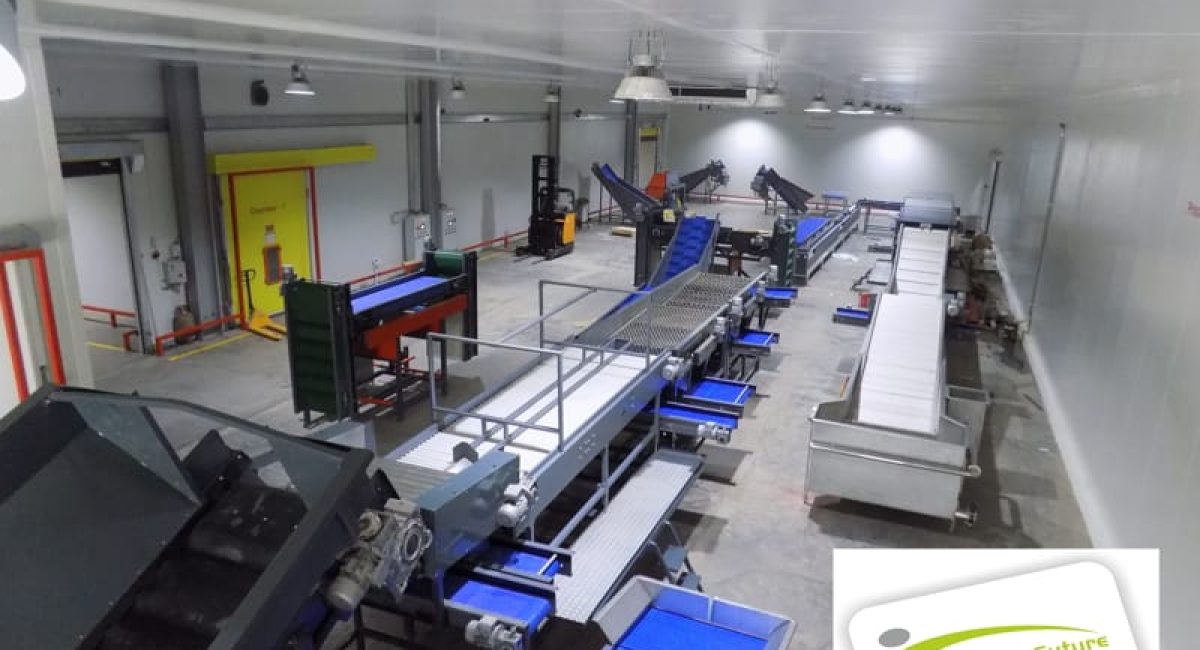 Food Processing